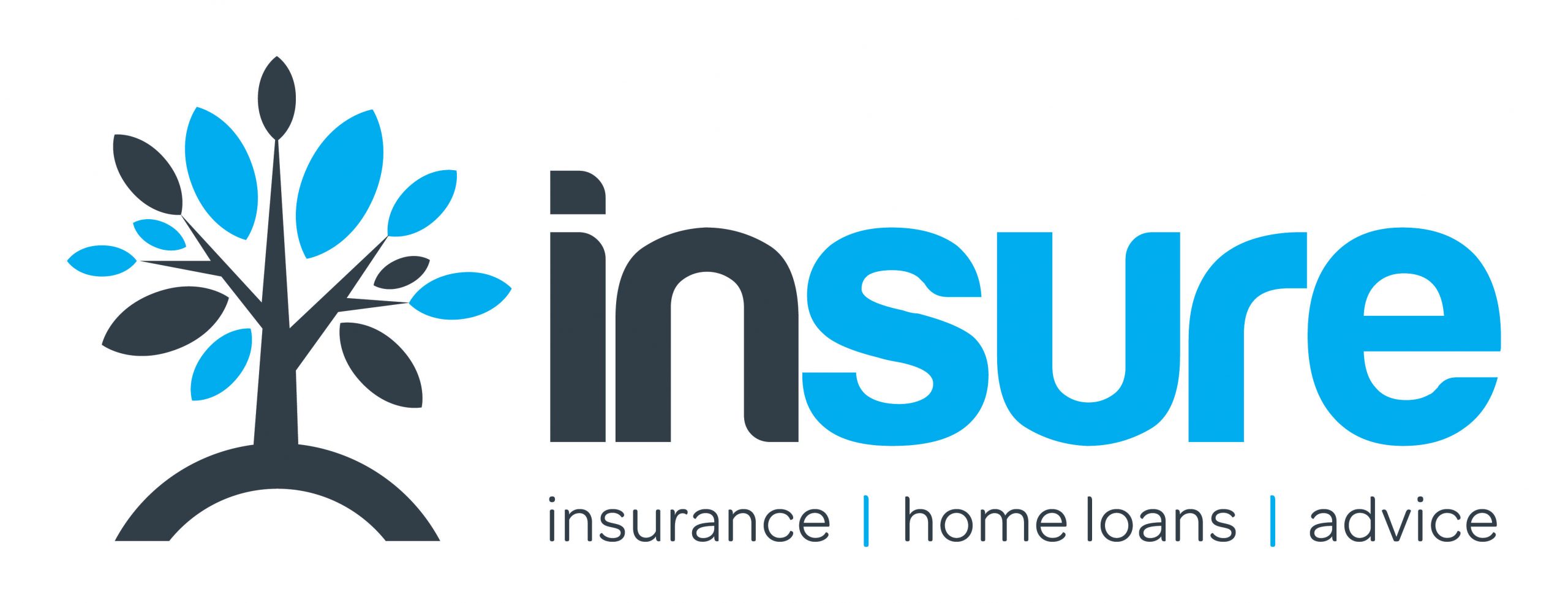 Insurance & Mortgage Advisers | Insure Limited Logo